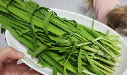 6 Spiritual Meanings of Dreaming of Leeks
