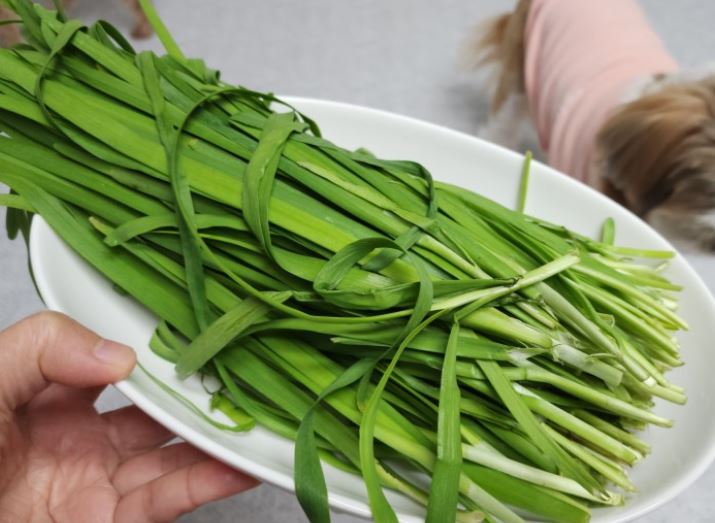 6 Spiritual Meanings of Dreaming of Leeks