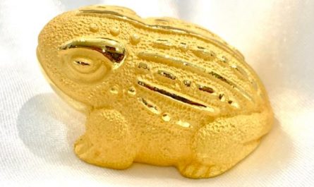 7 Spiritual Meanings of Dreaming of a Golden Toad
