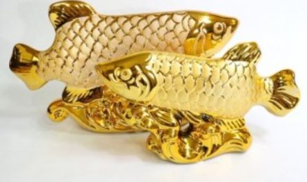 Dreaming of Golden Carp