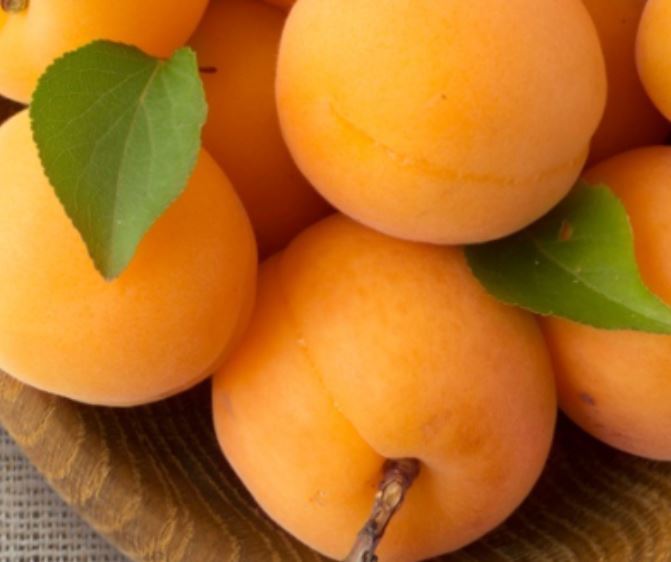 6 Spiritual Meanings of Dreaming of Apricot
