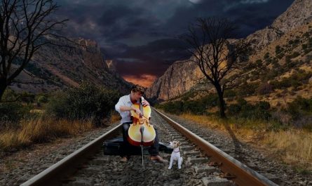 5 Spiritual Meanings of Dreaming of Cello