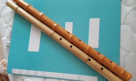 6 Spiritual Meanings of Dreaming of the Flute