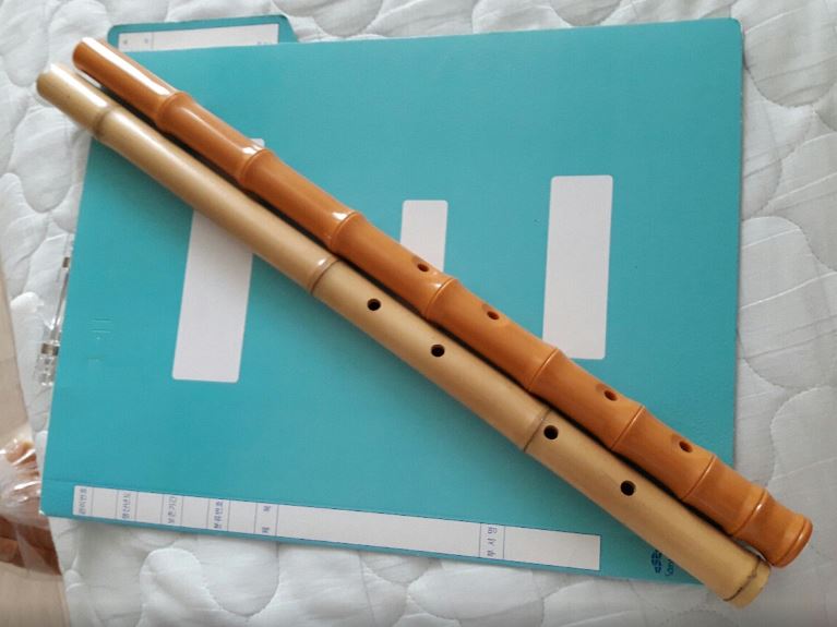 6 Spiritual Meanings of Dreaming of the Flute