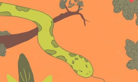 6 Spiritual Meanings of Dreaming of Poisonous Snake
