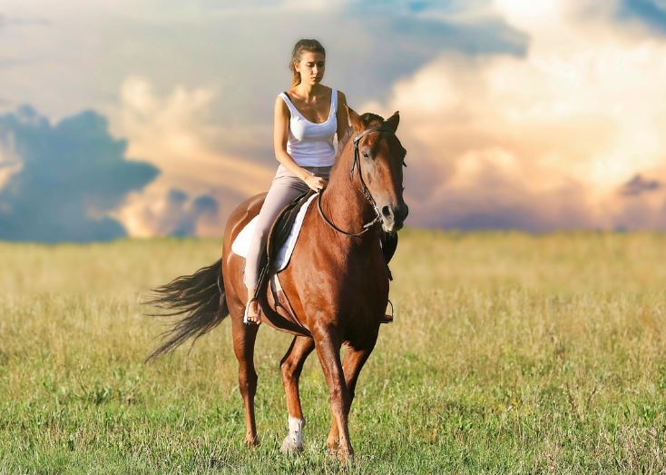 6 Spiritual Meanings of Dreaming of Riding a Horse