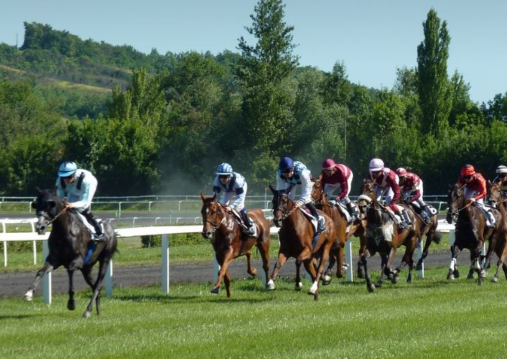 5 Spiritual Meanings of Dreaming of Horse Racing