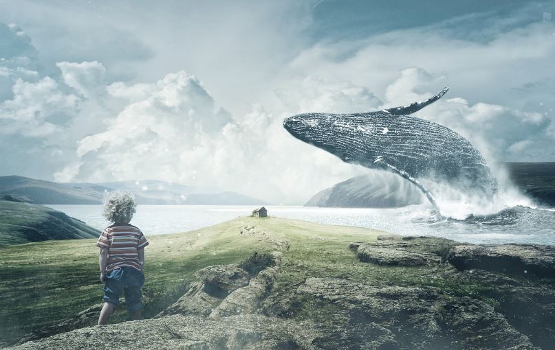 8 Spiritual Meanings of Dreaming of Blue Whales