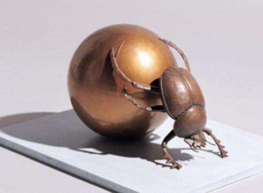 6 Spiritual Meanings of Dreaming of a Beetle