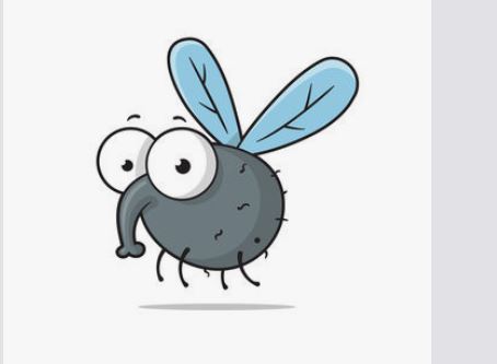 7 Spiritual Meanings of Dreaming of Flies