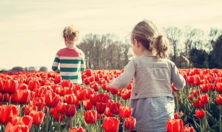 6 Spiritual Meanings of Dreaming of a Garden