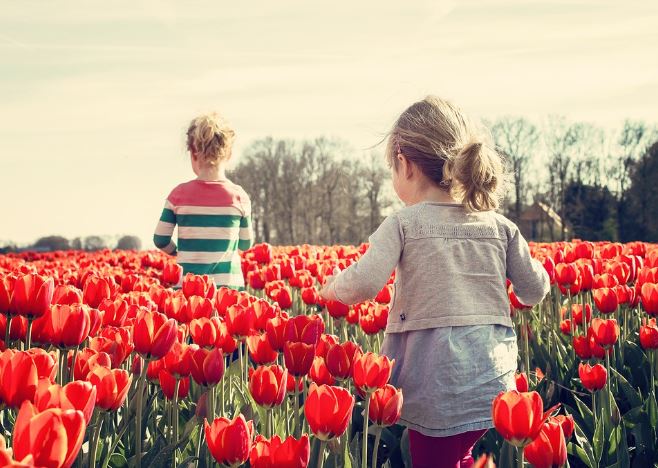 6 Spiritual Meanings of Dreaming of a Garden