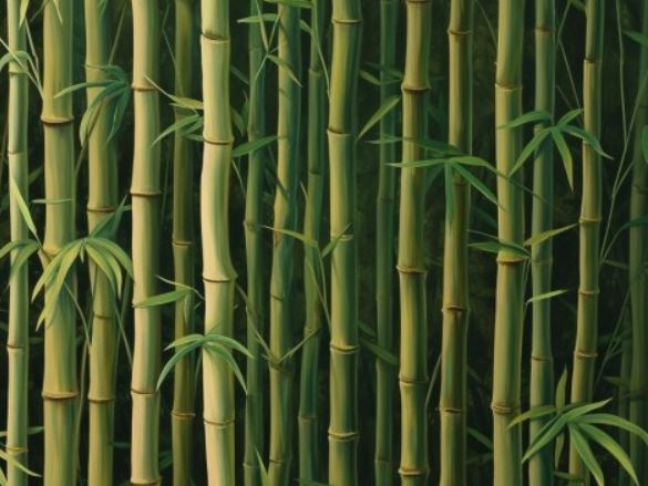 6 Spiritual Meanings of Dreaming of Bamboo