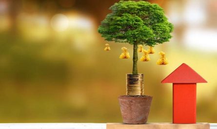 7 Spiritual Meanings of Dreaming of a Money Tree