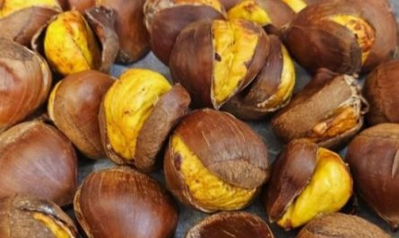 7 Spiritual Meanings of Dreaming of Roasting Chestnuts