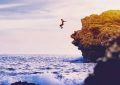 7 Spiritual Meanings of Dreaming of Cliff Jumping