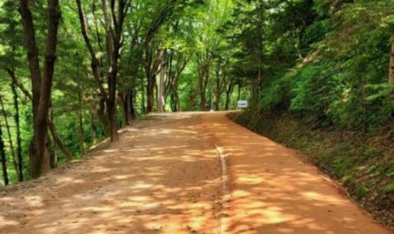 8 Spiritual Meanings of Dreaming about Loess