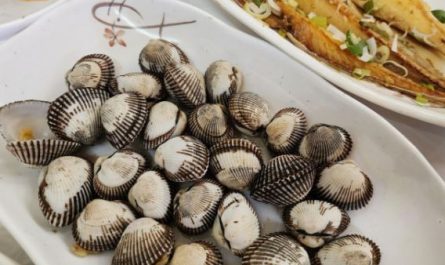 6 Spiritual Meanings of Dreaming of cockles