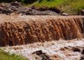 11 Spiritual Meanings of Dreaming of Feces