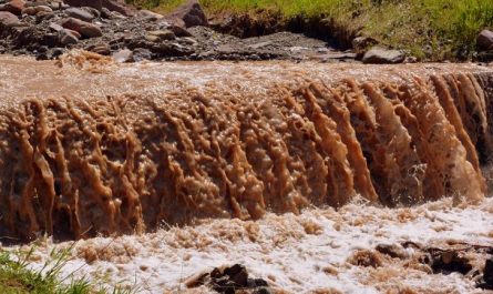 11 Spiritual Meanings of Dreaming of Feces
