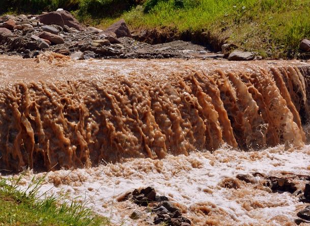 11 Spiritual Meanings of Dreaming of Feces