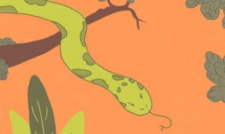 22 Spiritual Meanings of Dreaming about cutting a Snake