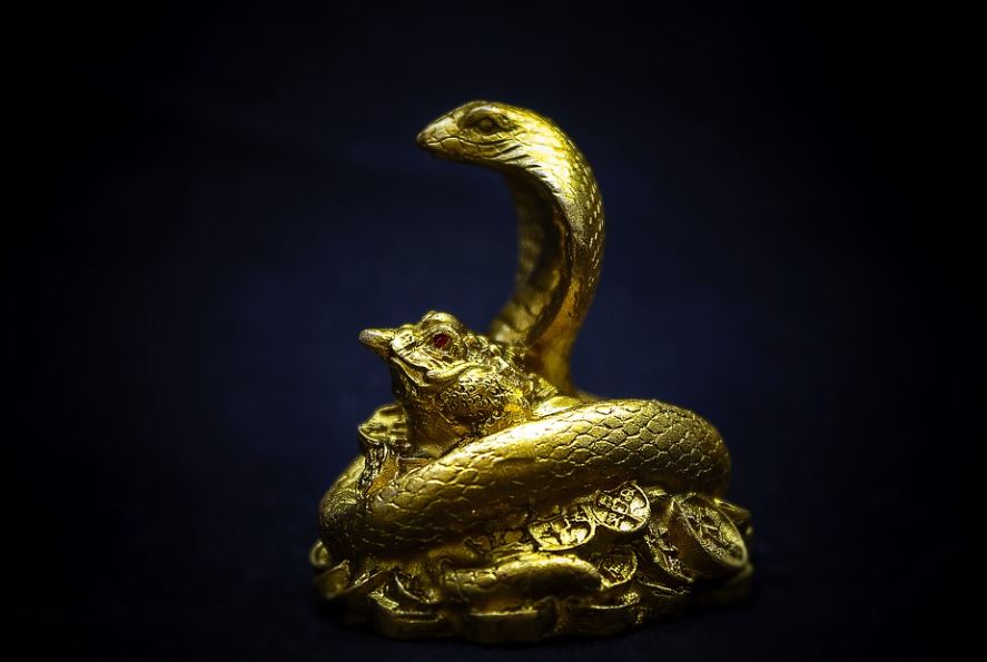 19 Spiritual Meanings of Dreaming of a Golden Snake