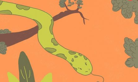 21 Spiritual Meanings of Dreaming of Poisonous Snakes