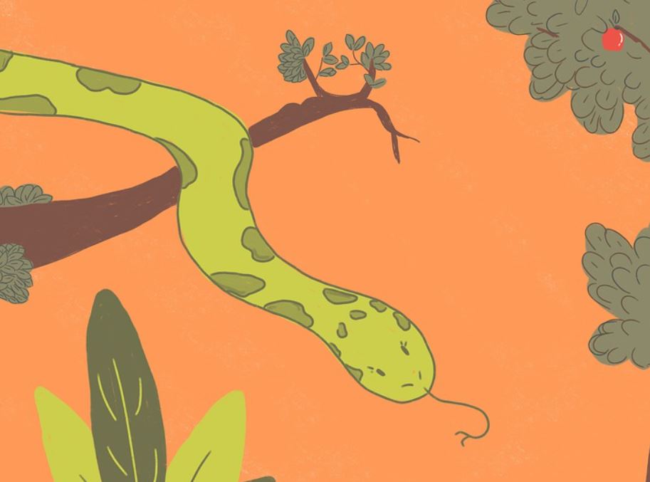 21 Spiritual Meanings of Dreaming of Poisonous Snakes