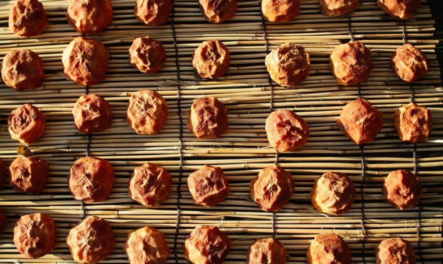 20 Spiritual Meanings of Dreaming of Persimmons