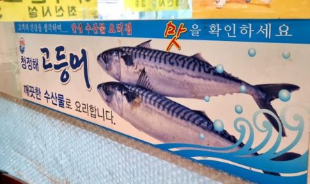 20 Spiritual Meanings of Dreaming of Mackerel