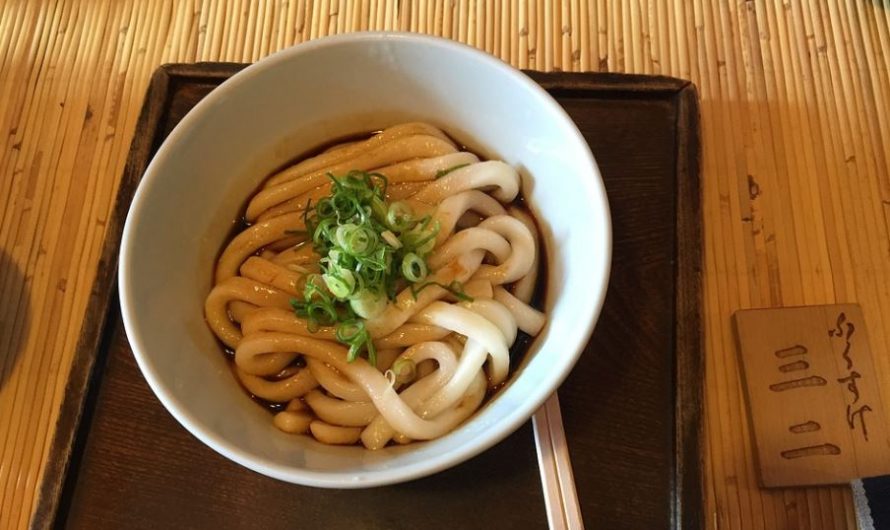 22 Spiritual Meanings of Dreaming about udon noodles