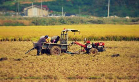 18 symbolic meanings of dreaming of cultivator
