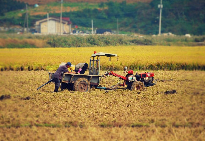 18 symbolic meanings of dreaming of cultivator