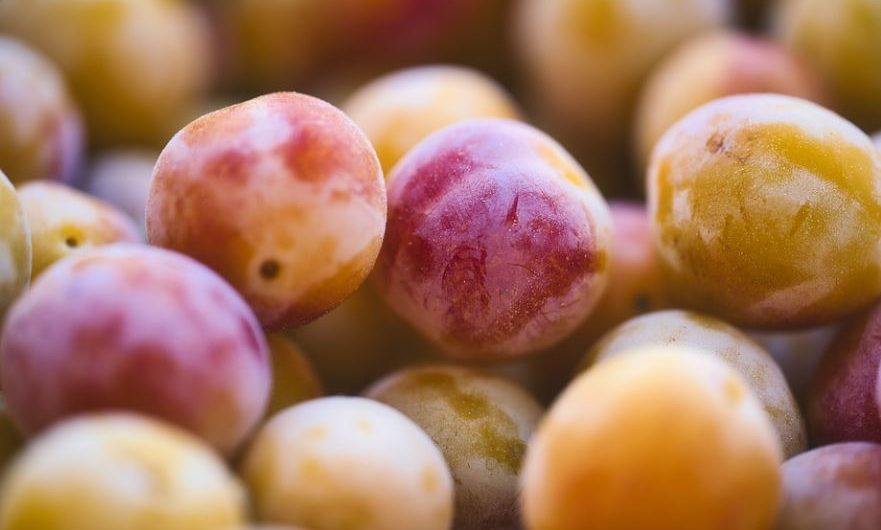 20 Spiritual Meanings of Dreaming of Plums