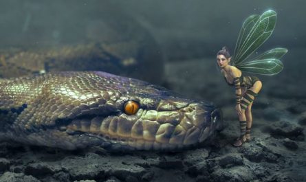 23 Spiritual Meanings of Dreaming of a Python