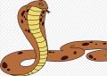 20 Spiritual Meanings of Dreaming of Cobra