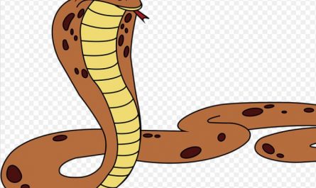 20 Spiritual Meanings of Dreaming of Cobra