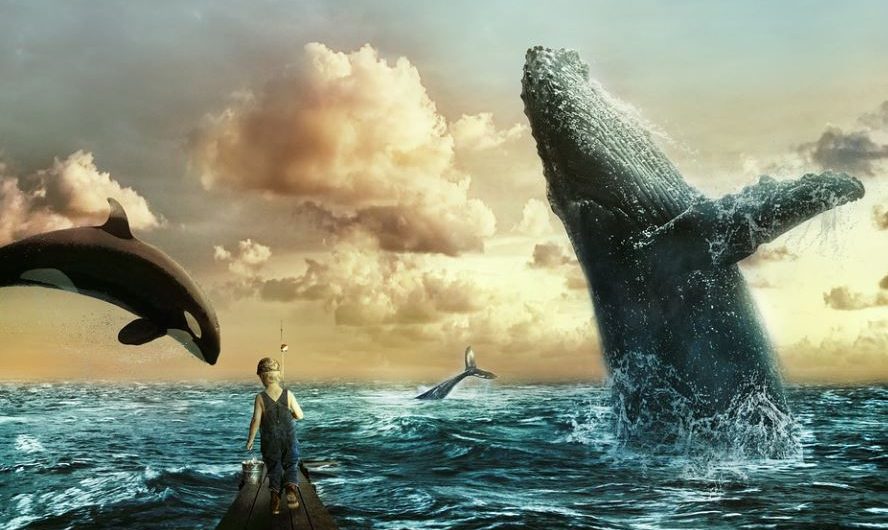 20 Spiritual Meanings of Dreaming of big whale