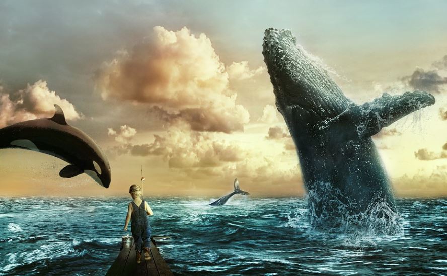 20 Spiritual Meanings of Dreaming of big whale