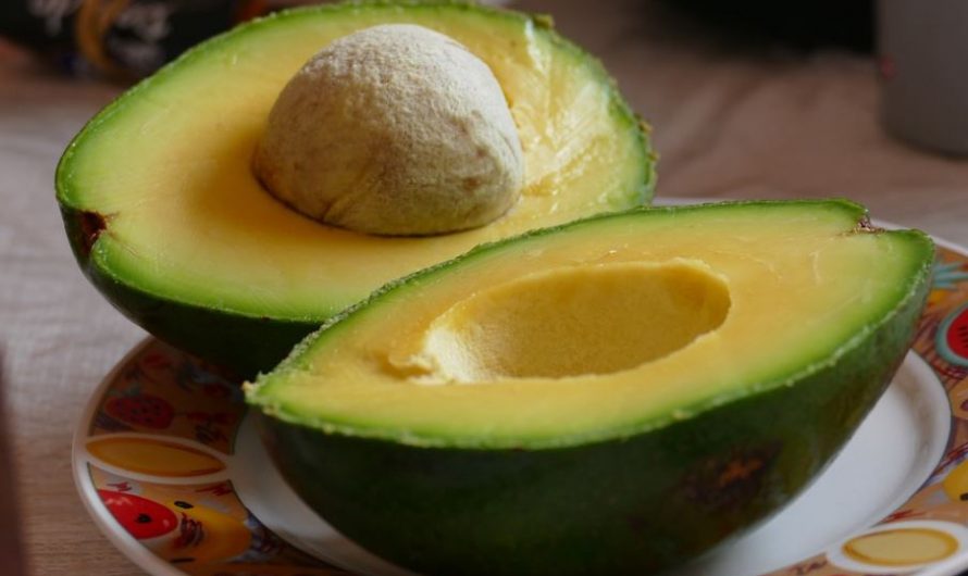 28 Spiritual Meanings of Dreaming of Avocados