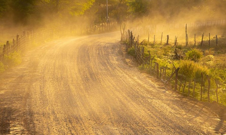 19 Spiritual Meanings of Dreaming of Dust