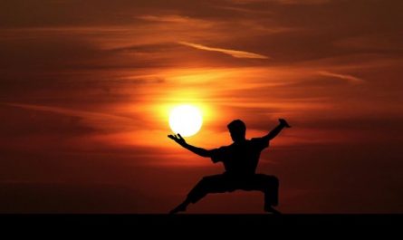 16 Spiritual Meanings of Dreaming of Martial Arts