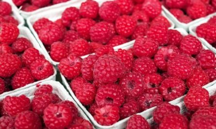 20 Spiritual Meanings of Dreaming about raspberries