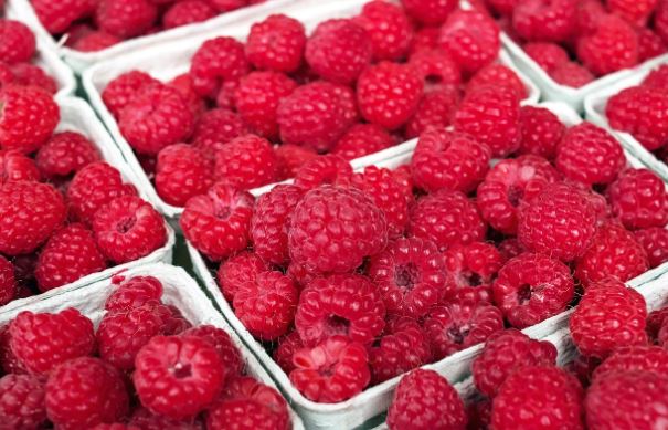 20 Spiritual Meanings of Dreaming about raspberries