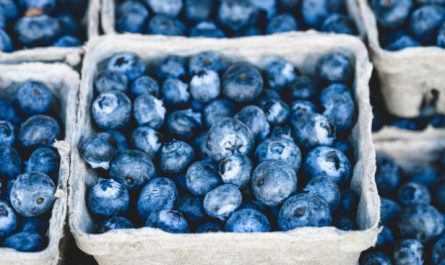 19 Spiritual Meanings of Dreaming about Blueberries