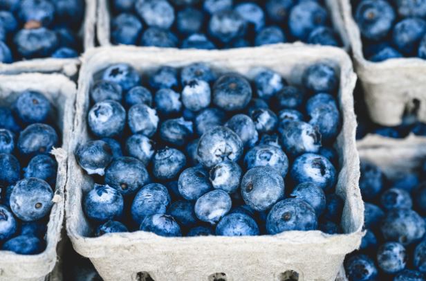 19 Spiritual Meanings of Dreaming about Blueberries
