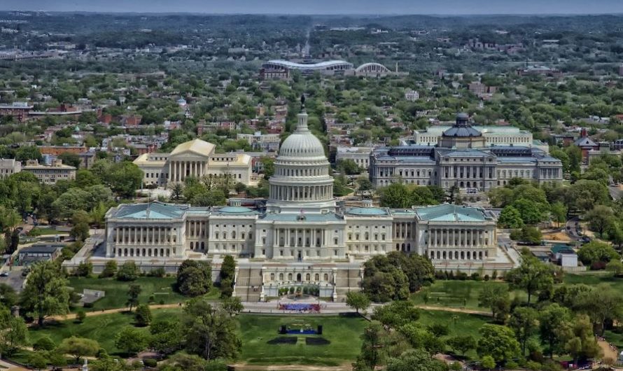 19 Spiritual Meanings of Dreaming about a member of parliament