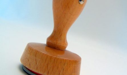 Dream about seals : Meaning & Interpretations