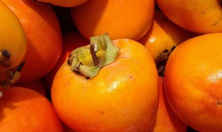 Dream about large persimmon : Meaning & Interpretations